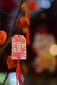 rút tiền nhanh New88